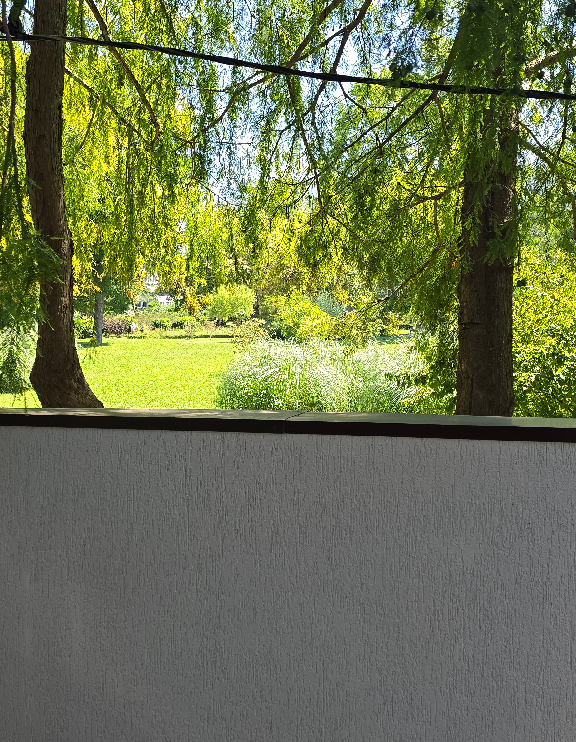 Фото Голден Норрис