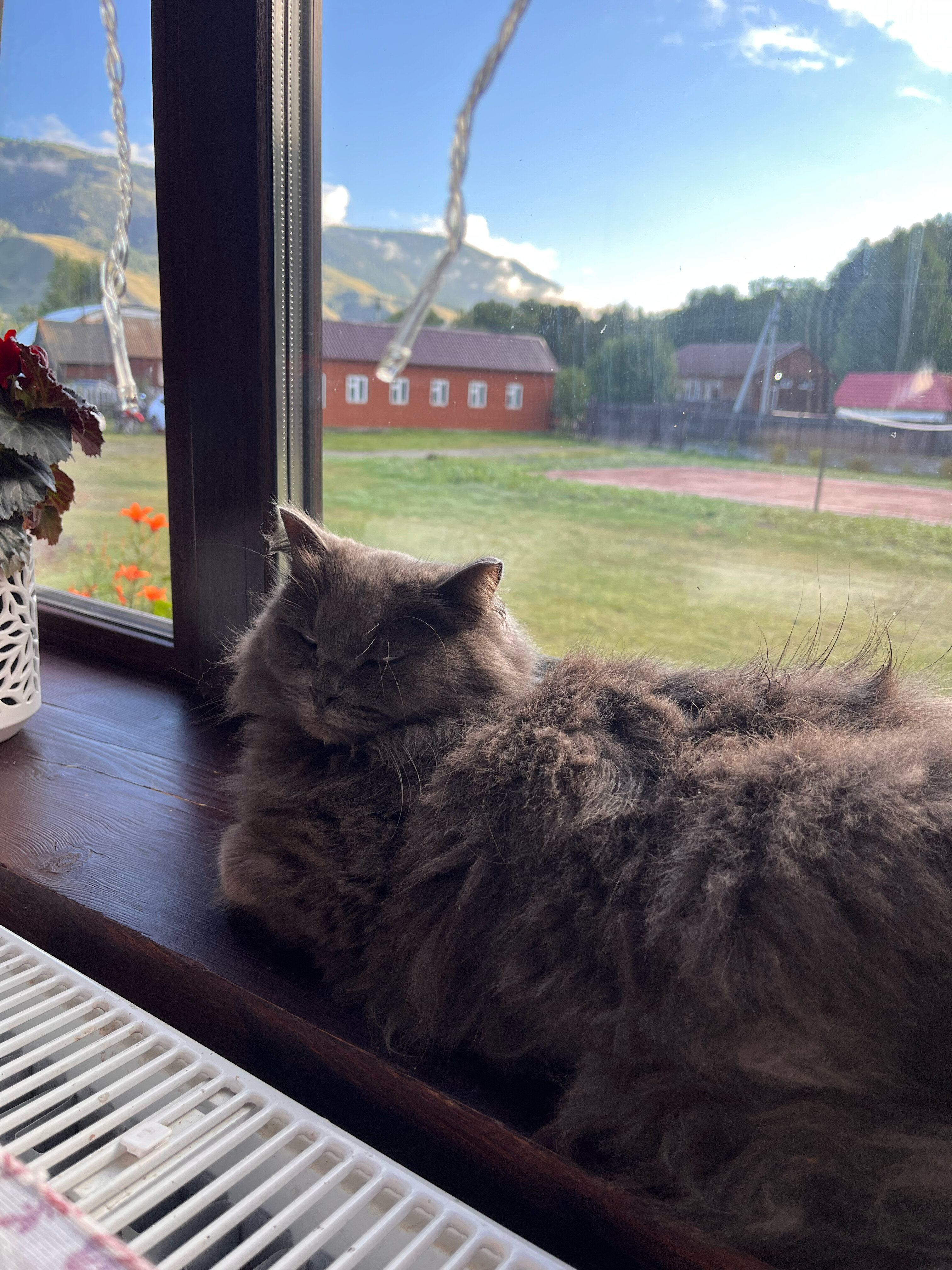 Фото Благодать