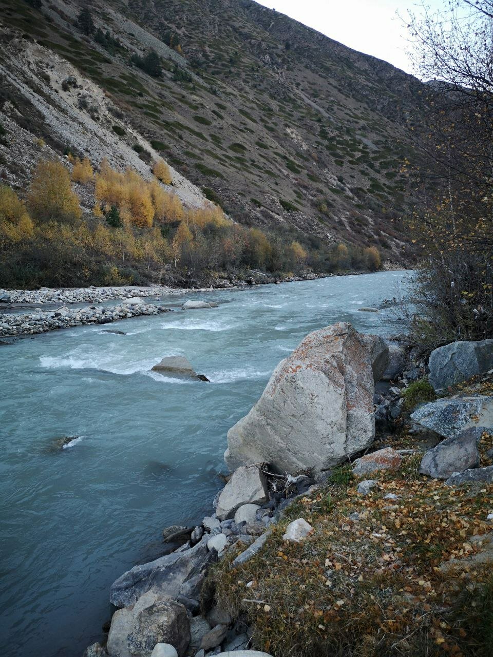 Фото Dom Eco-Hotel