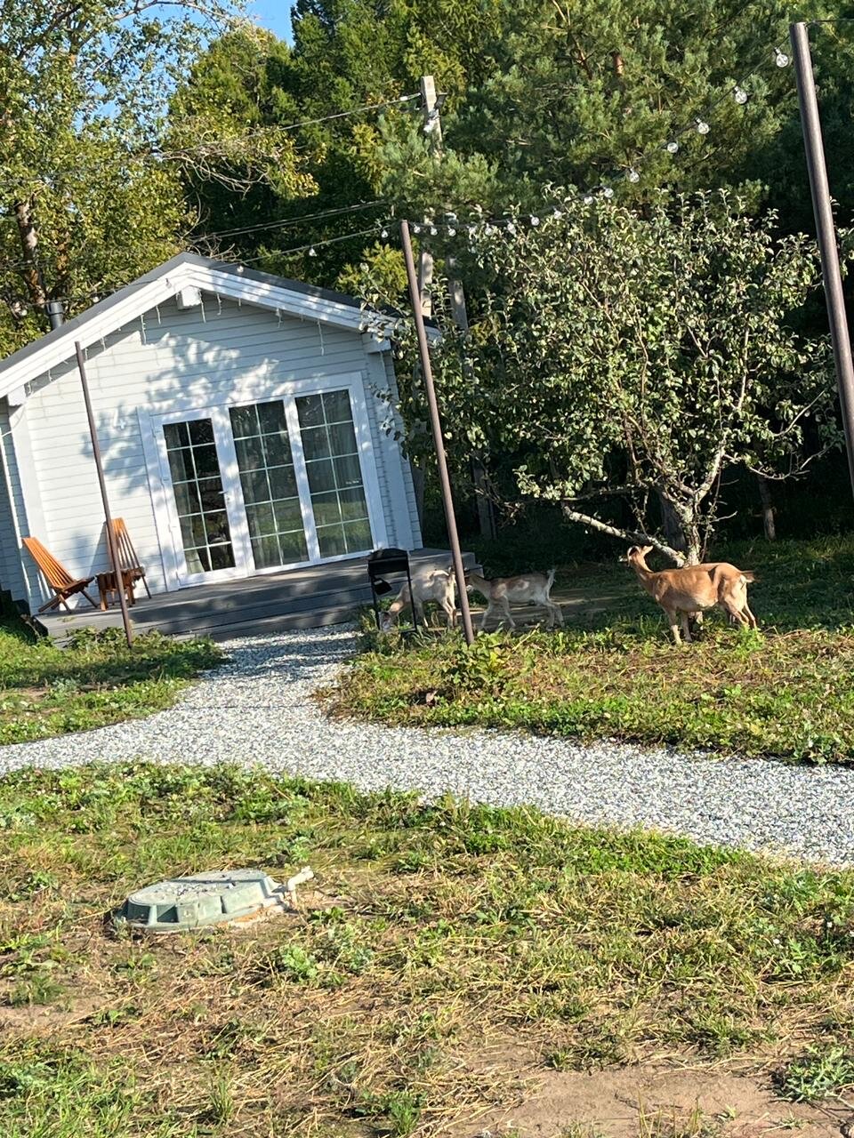 Фото Белый Яр Глэмп