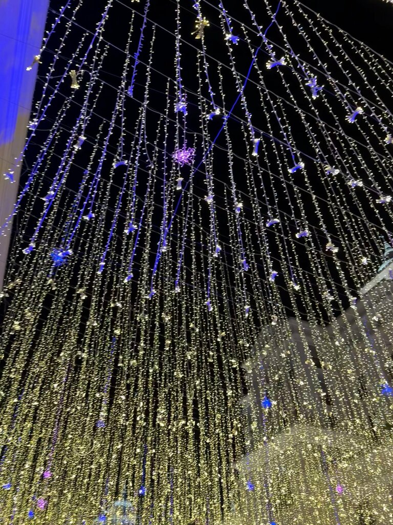 Fast food Antalya The Land Of Legends Avm Arbys, Serik, photo