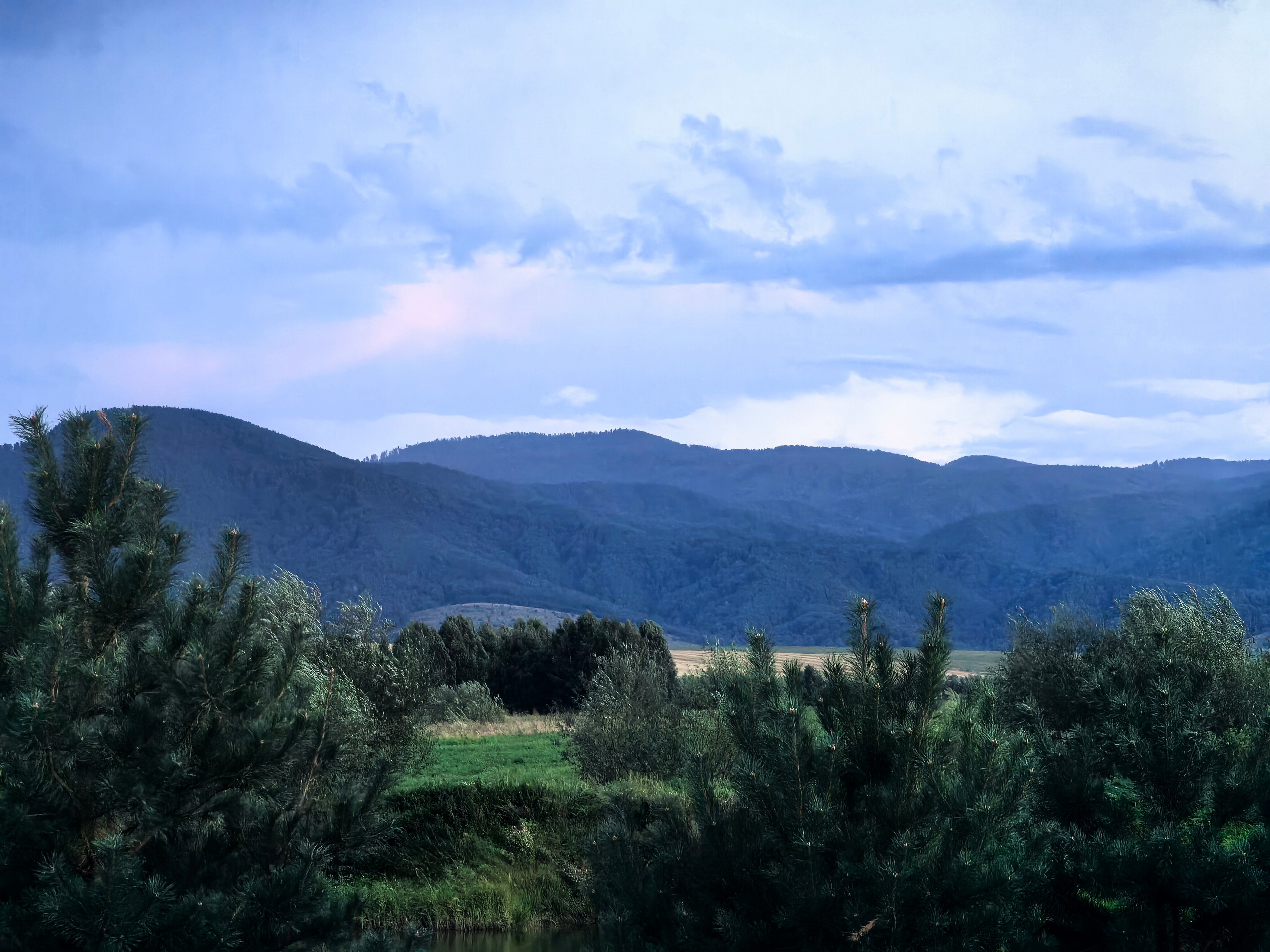 Фото Калина красная