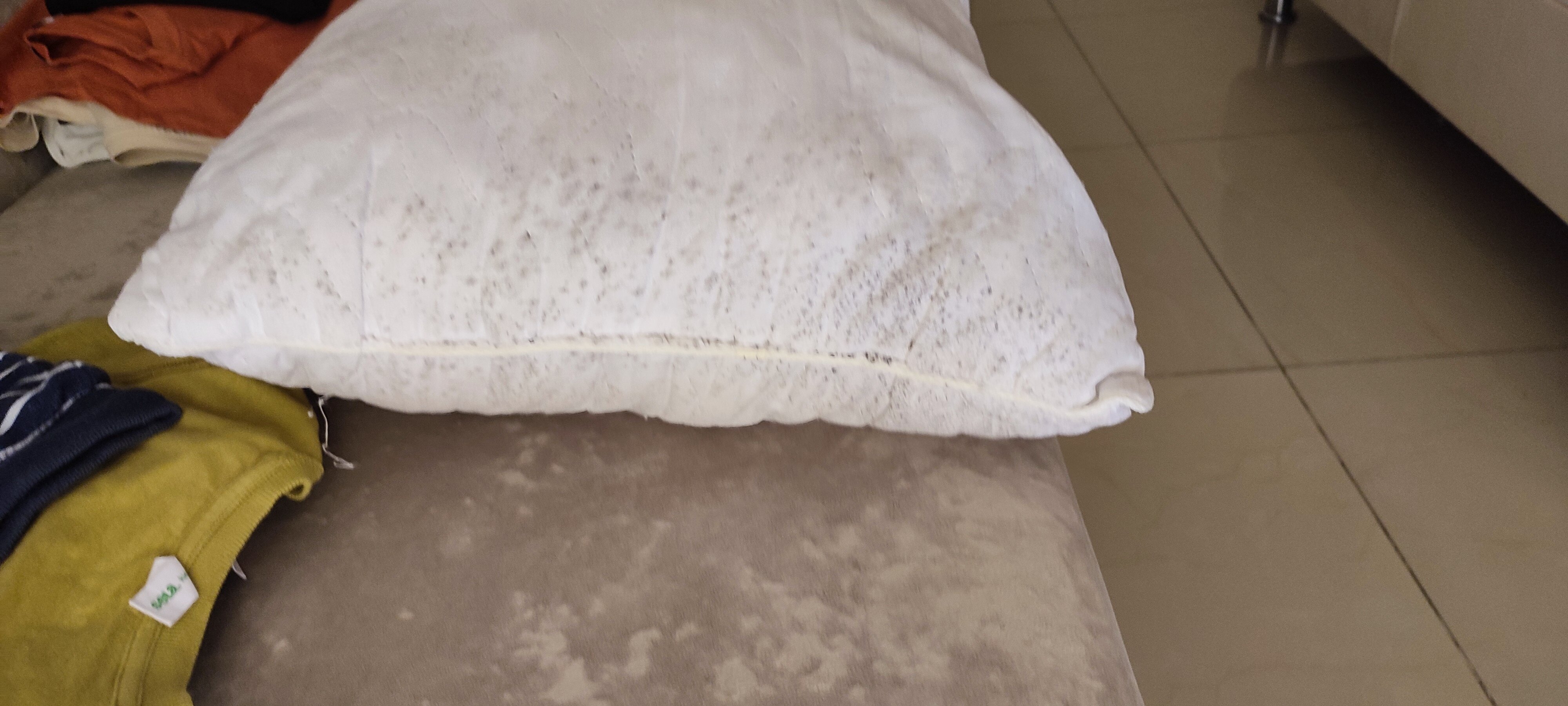 Фото Вилла парк Виктория