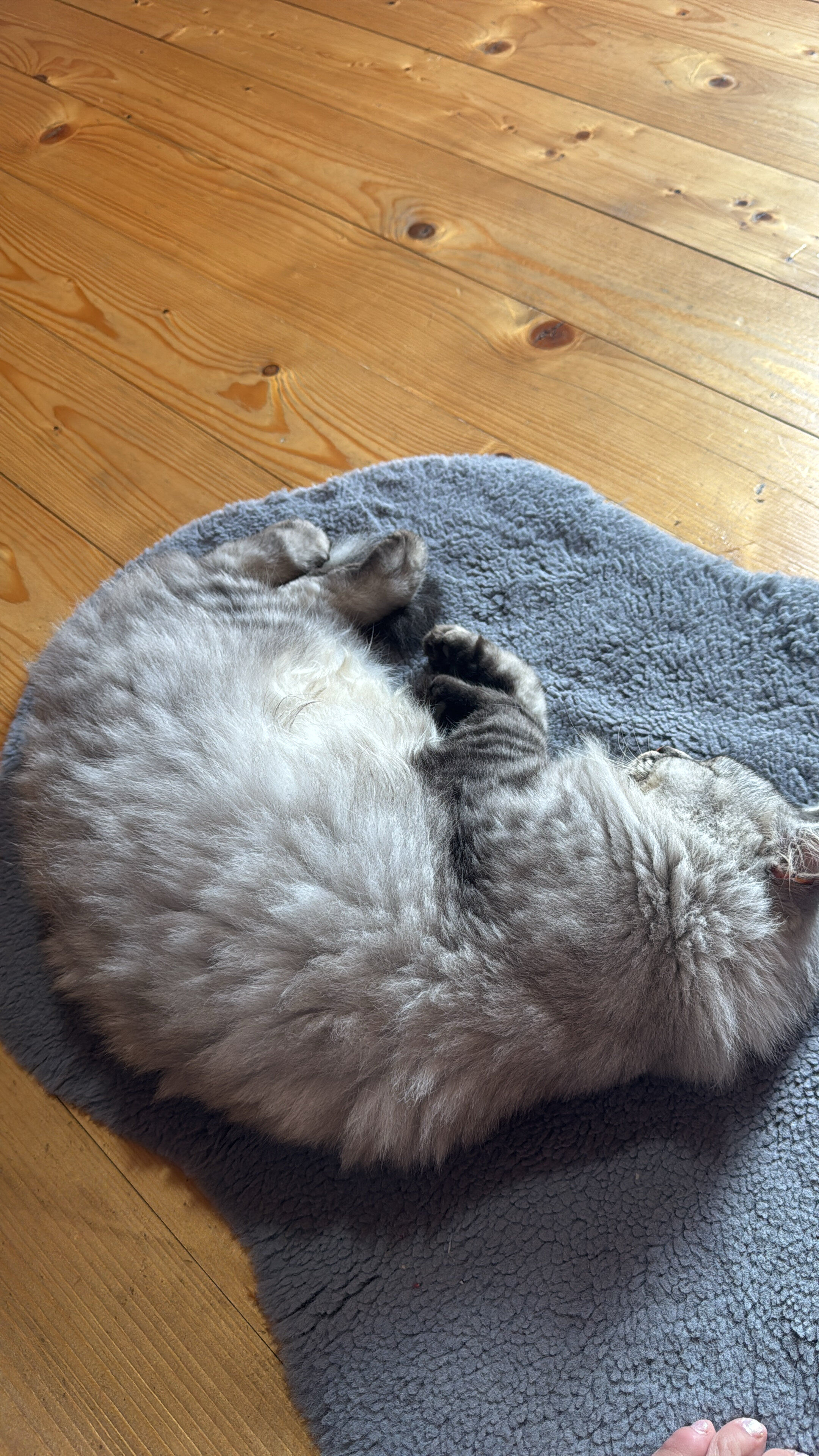 Фото Sea land cottege