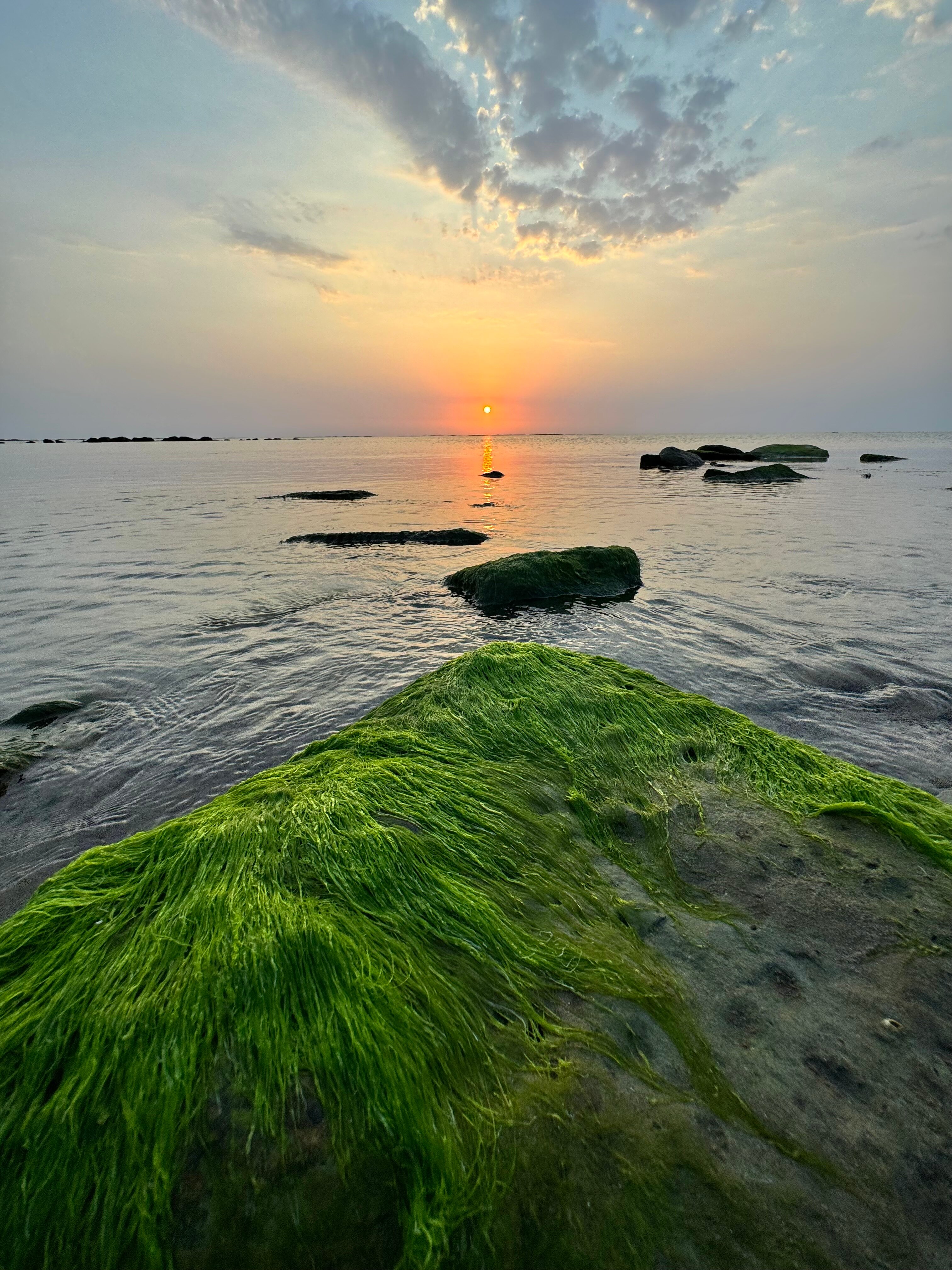 Фото Пушкинъ