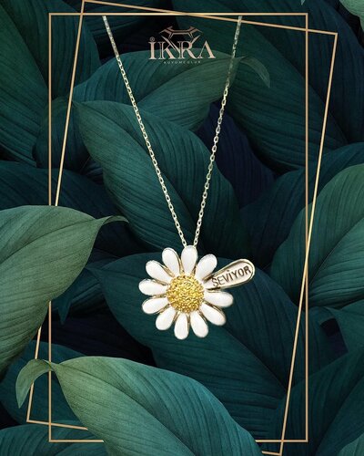 Ikra gümüş Fotoğraf 2