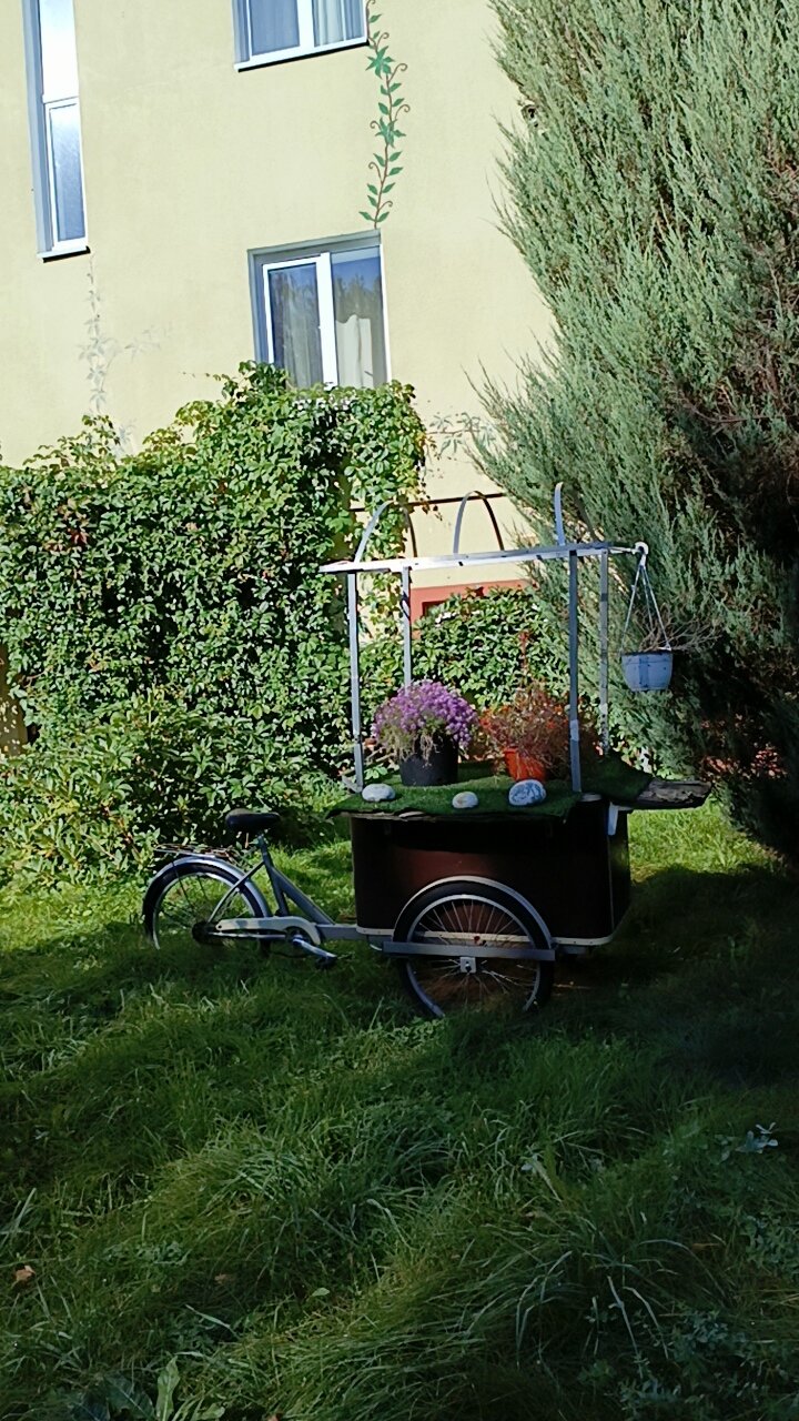 Фото Балтик Спорт