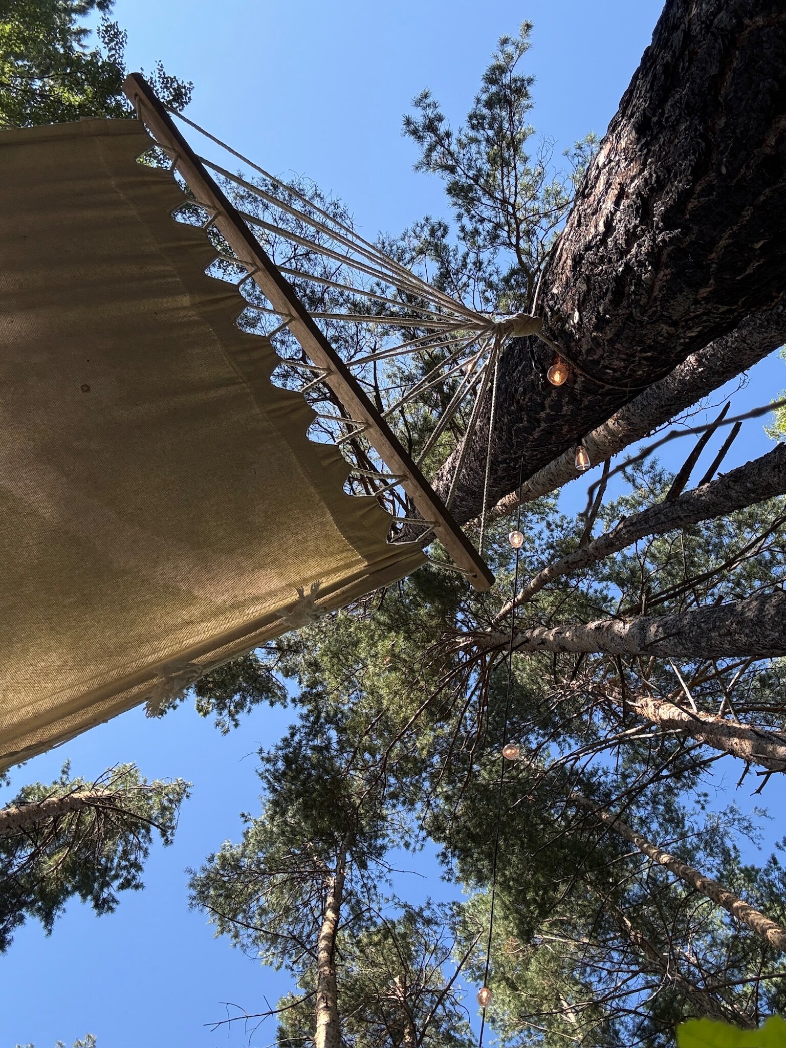 Фото Lipki House