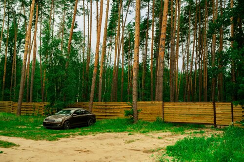 Турбаза Папоротник в Воронеже