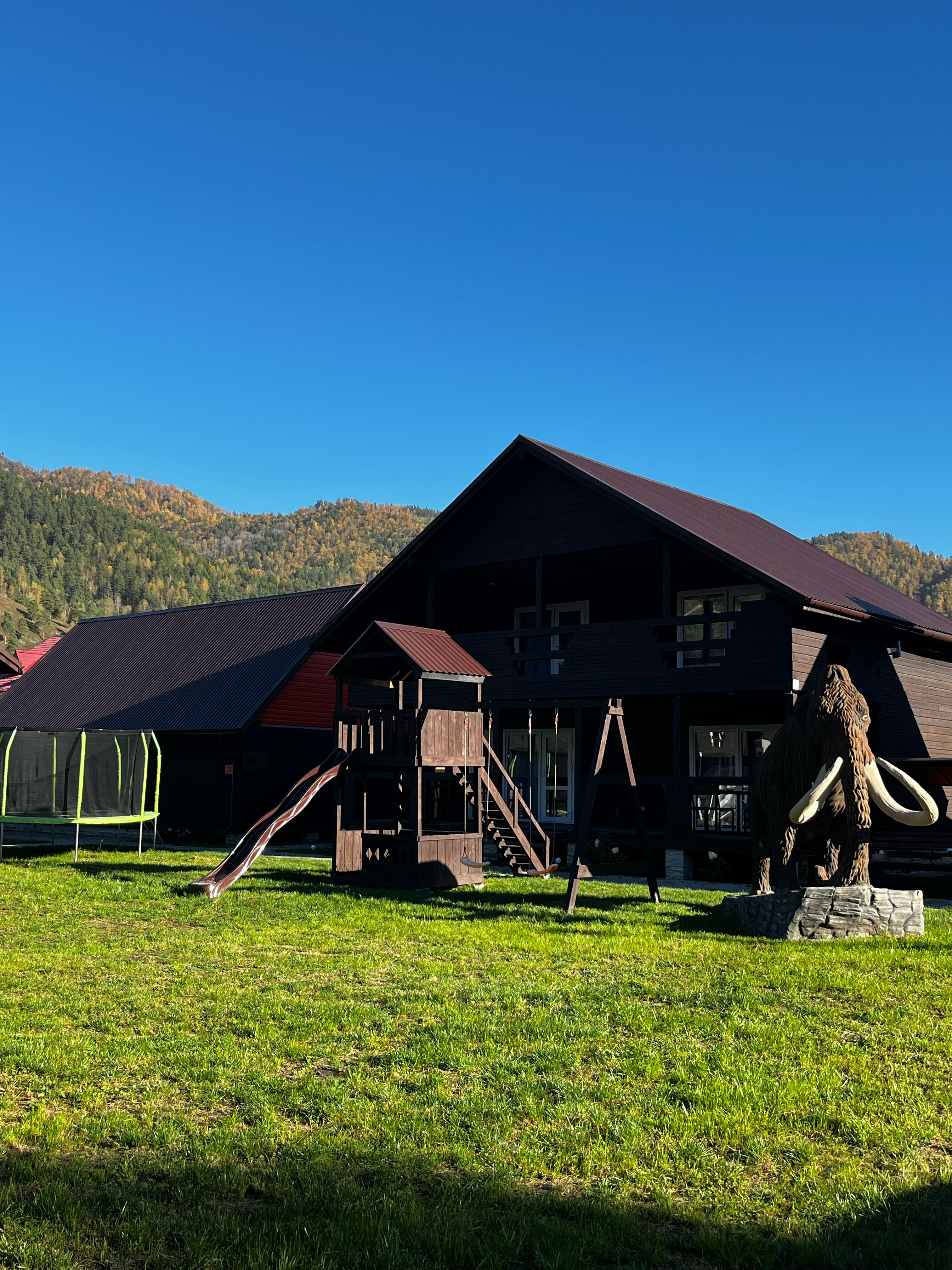 Фото Мамонт