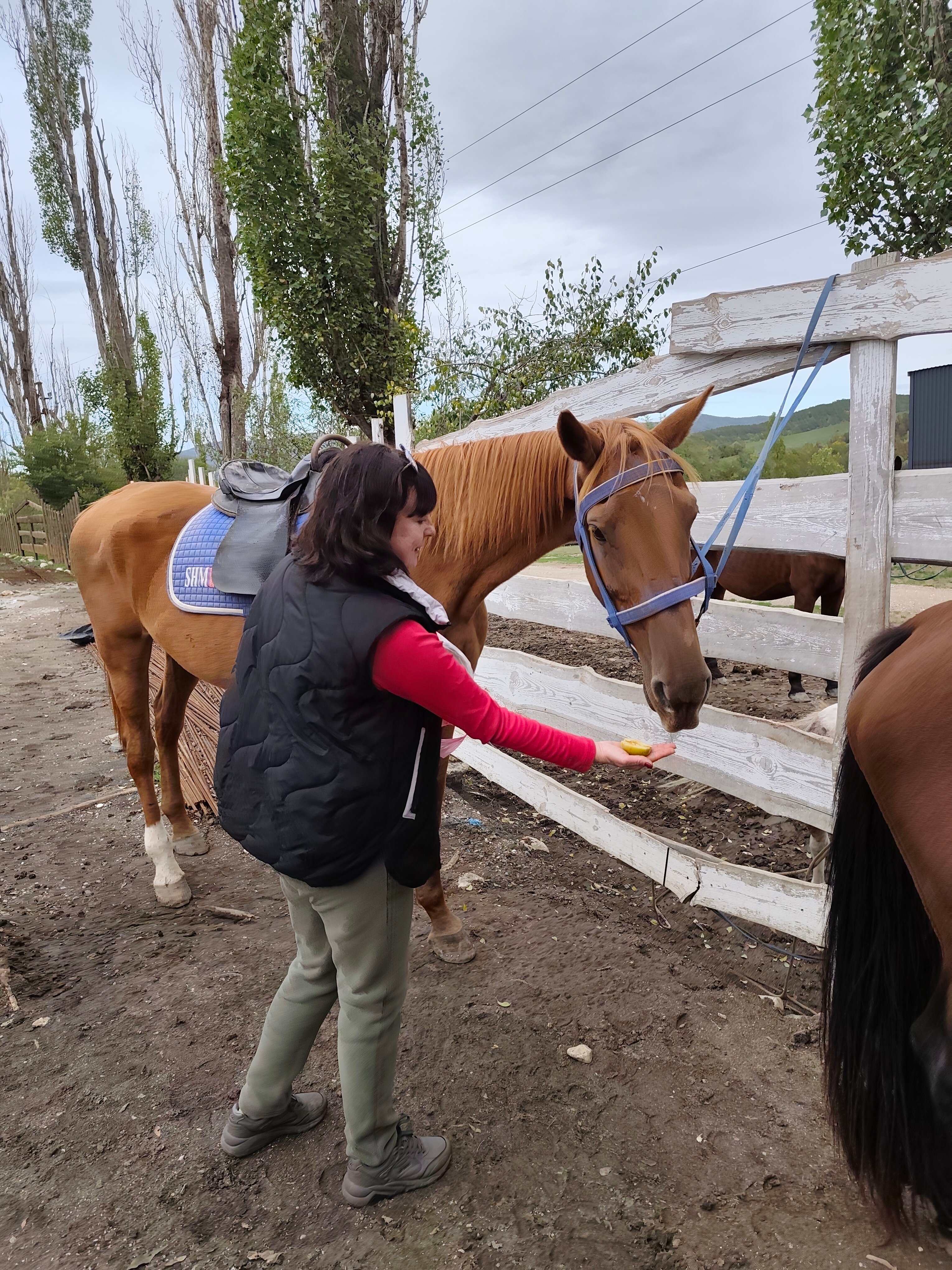 Фото Коккоз