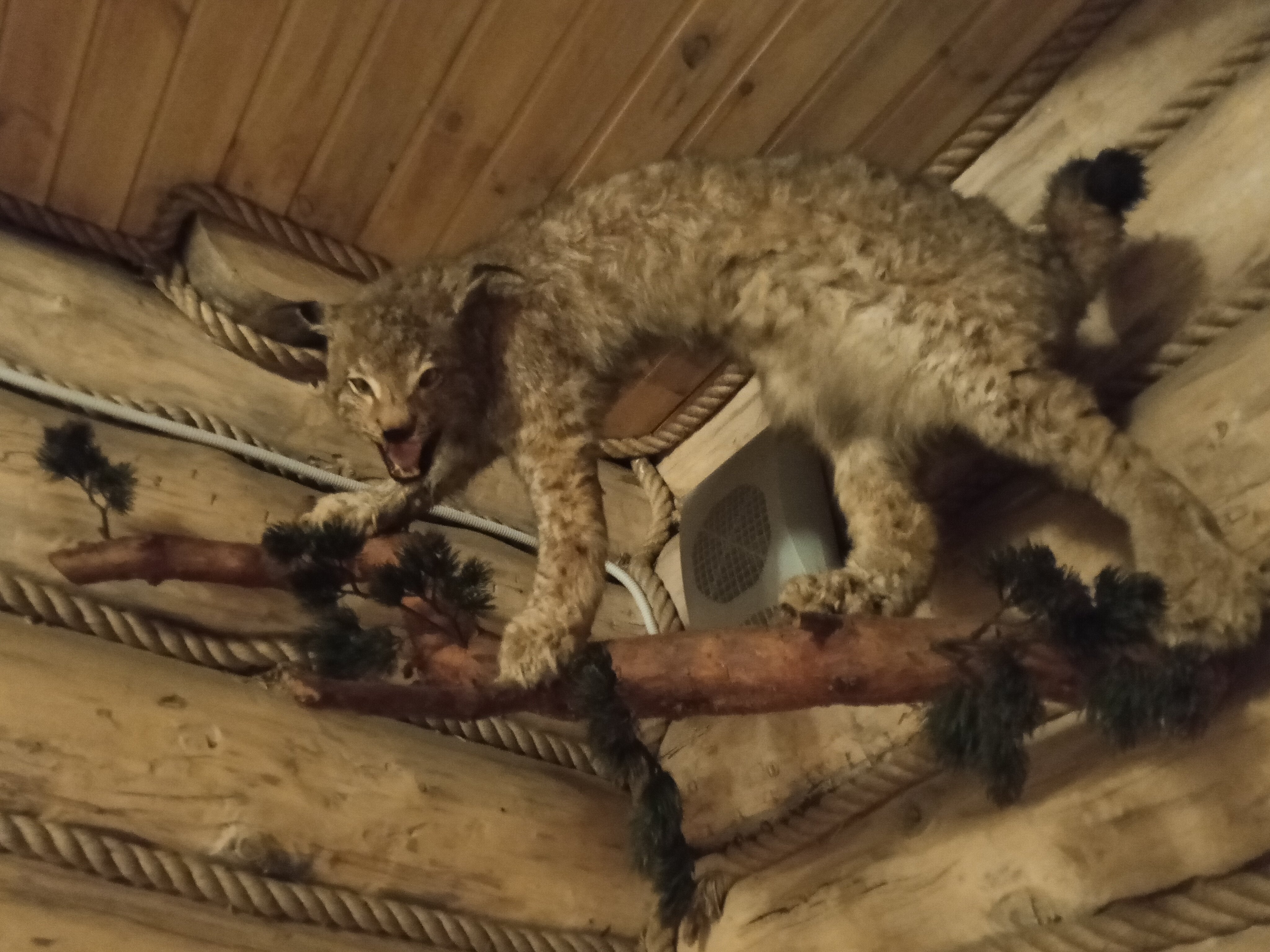 Фото Таёжный отель