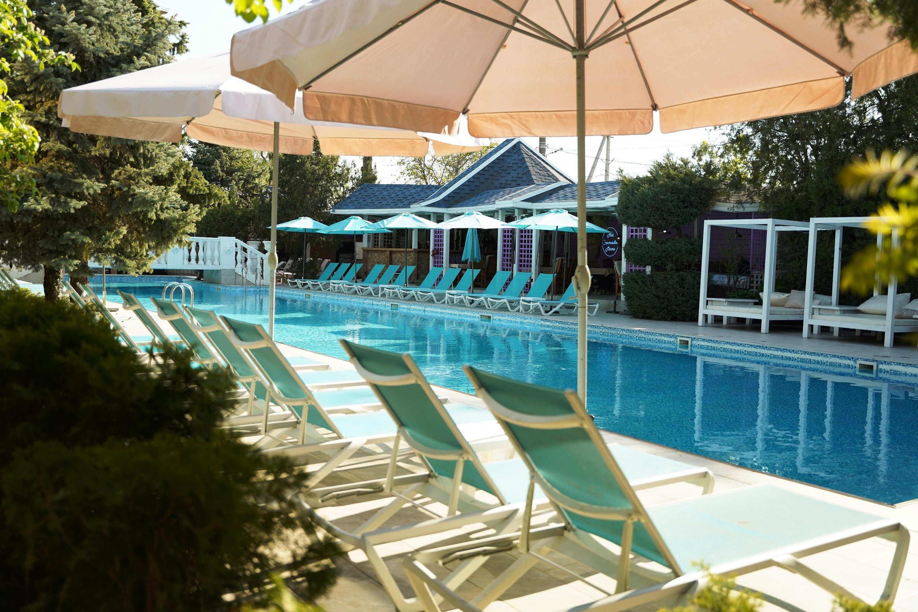 Фото Александр