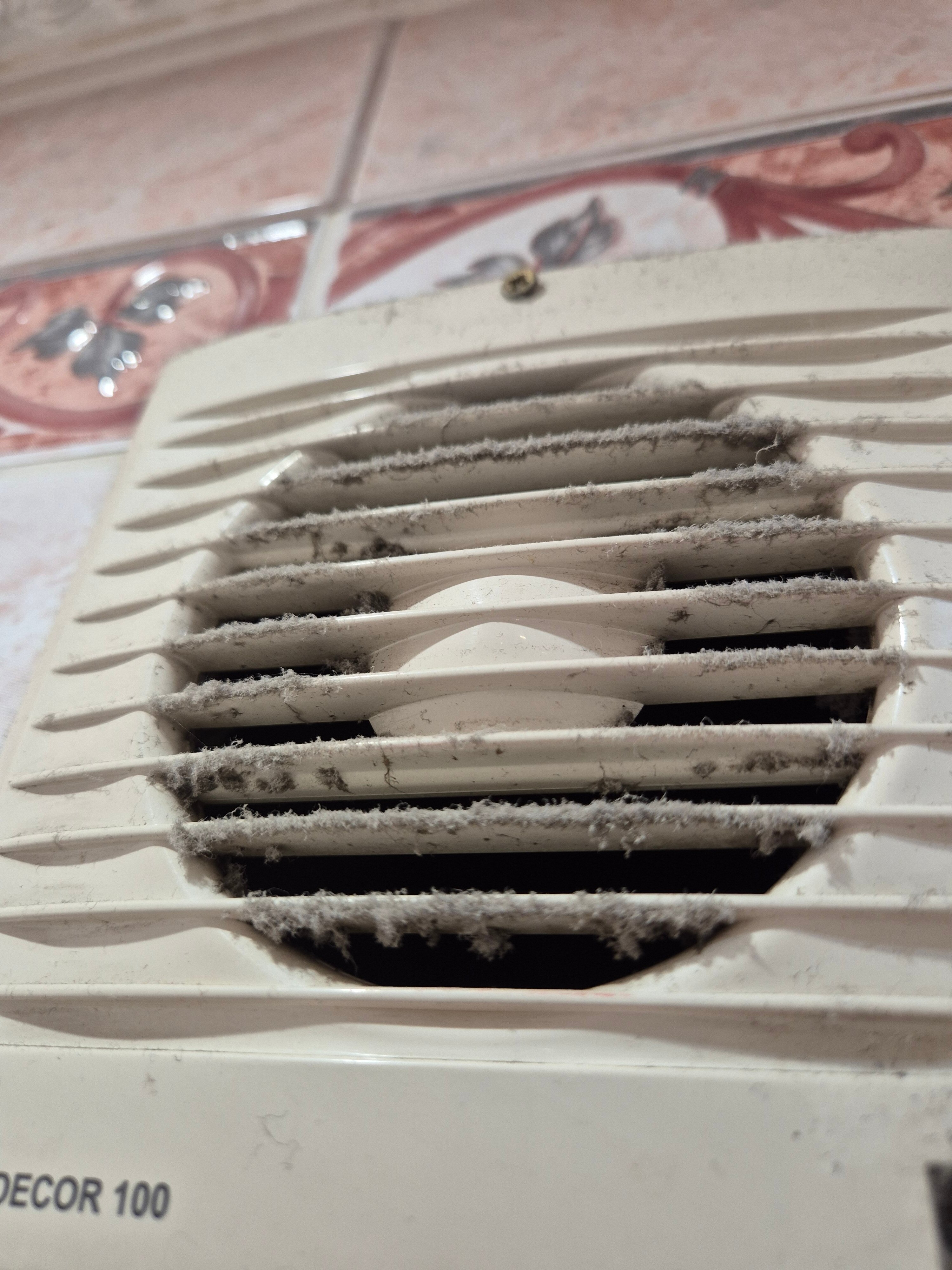 Фото Ист Вест