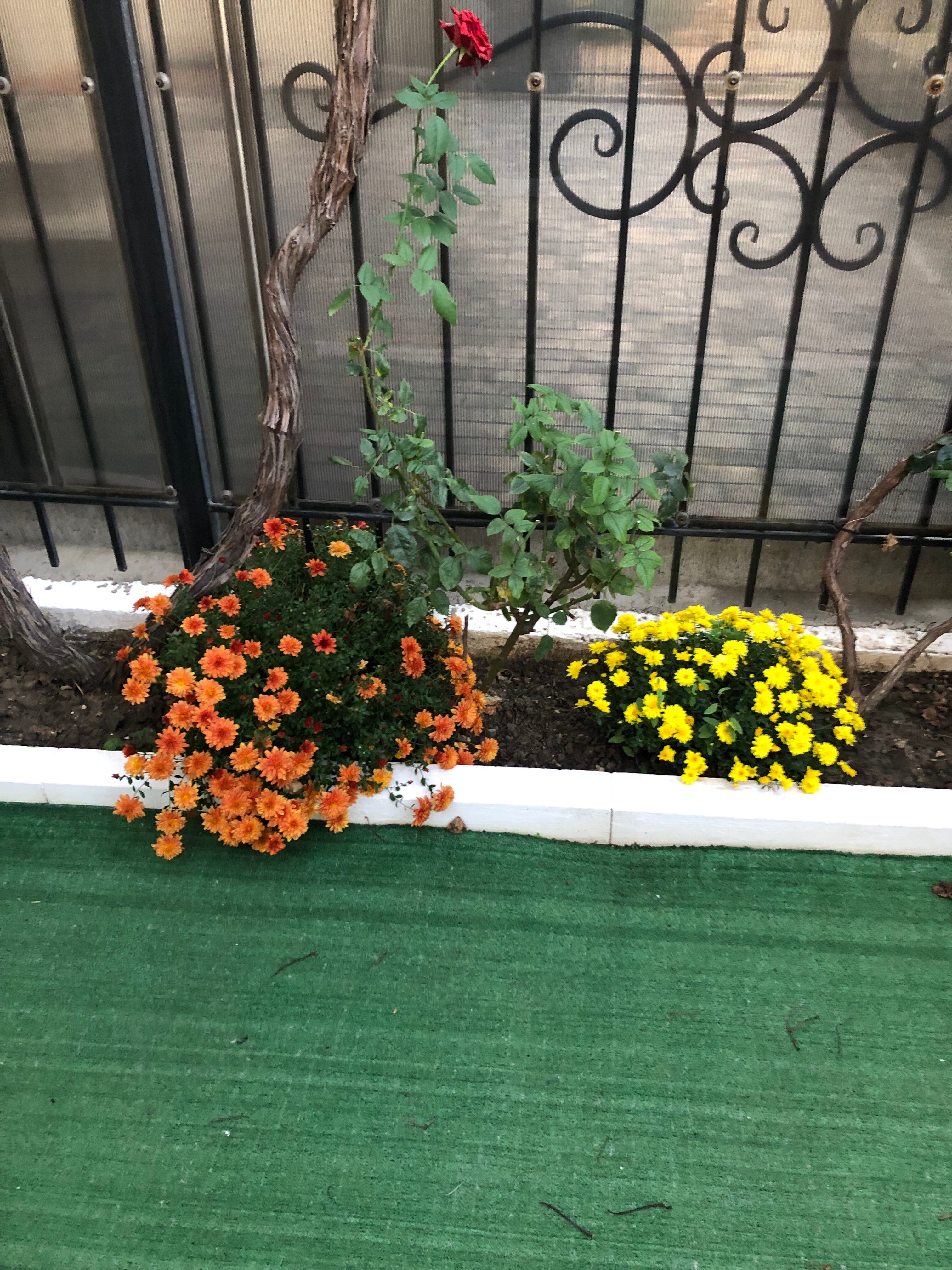 Фото Машенька