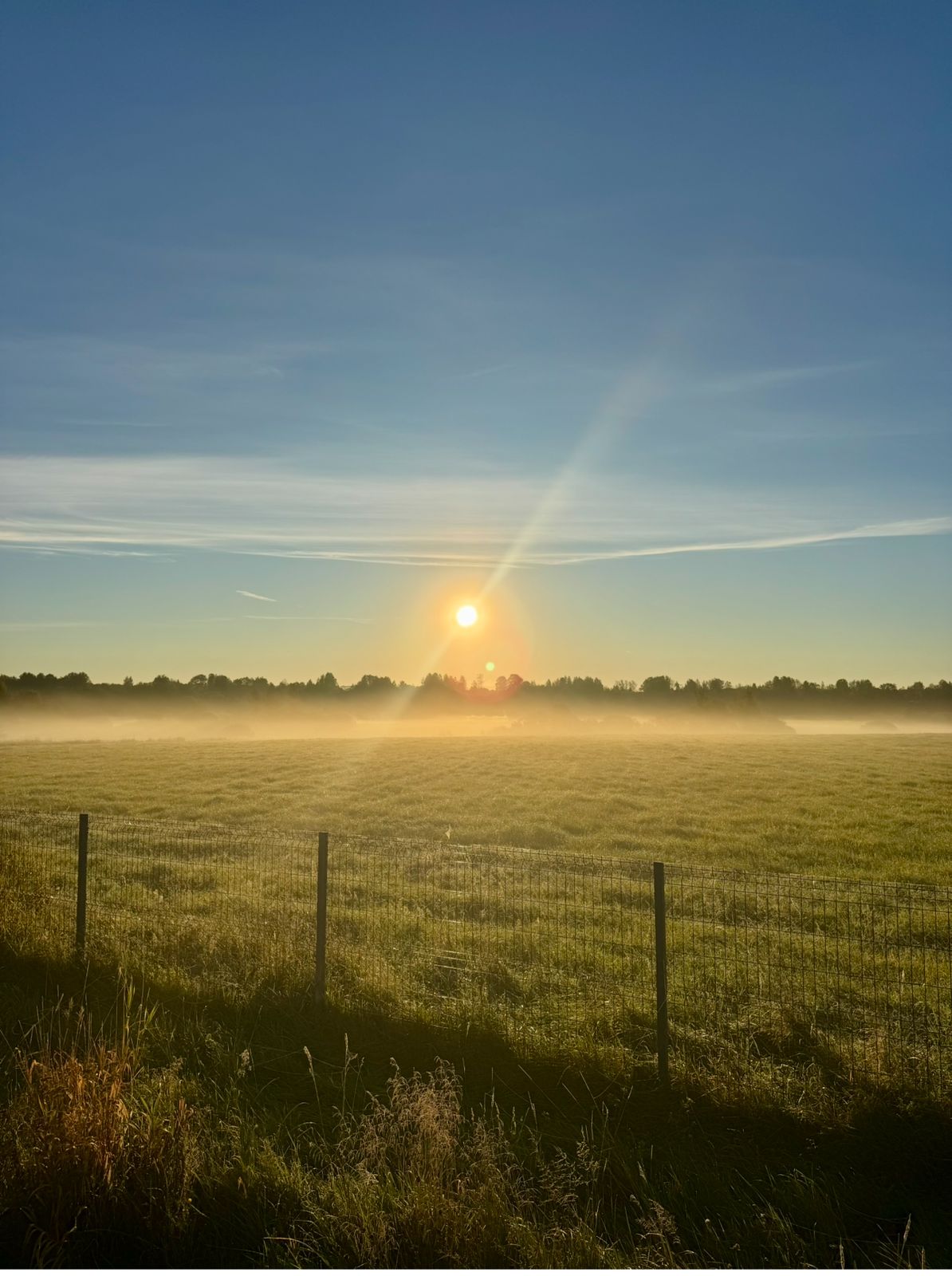 Фото Pro Отдых