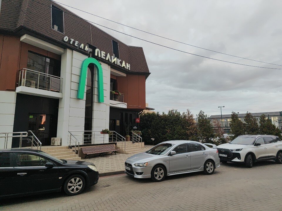 Фото Пеликан