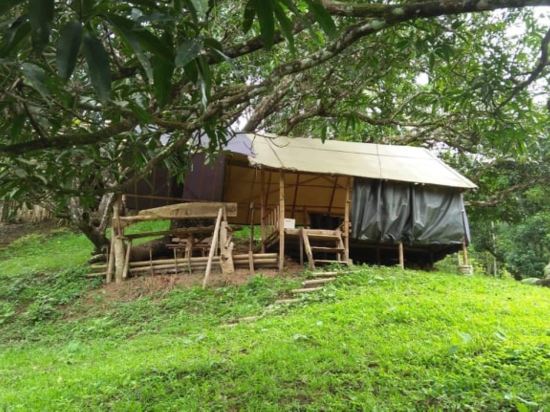 Фото Cebu Hostel and Glamping