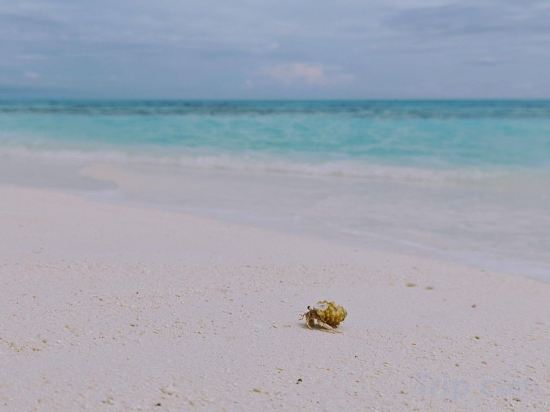 Фото Bougan Villea Retreat