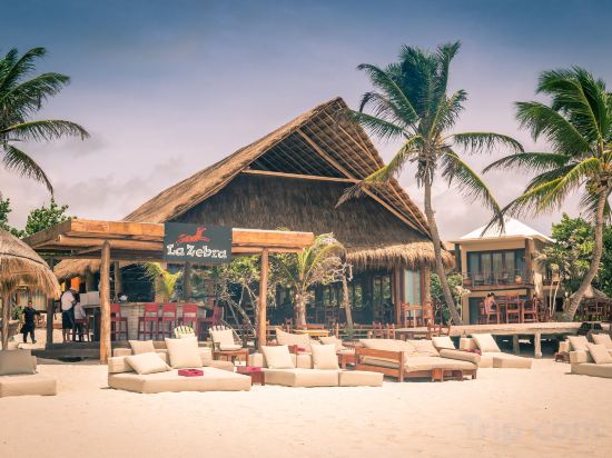 Фото La Zebra Colibri Boutique Hotels