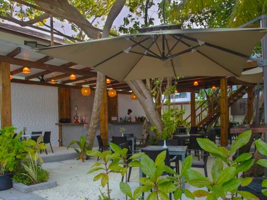 Фото Plumeria Maldives