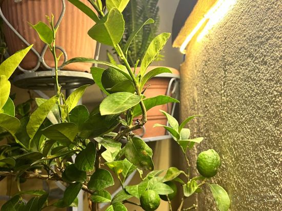 Фото Holiday Hostel