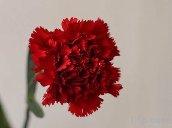 Фото Mercure Almaty City Center