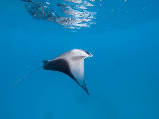 Фото Rasdhoo Stay