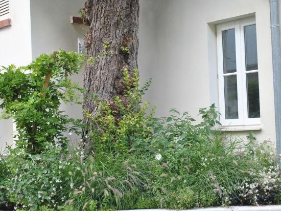 Фото Hôtel de Cavoye