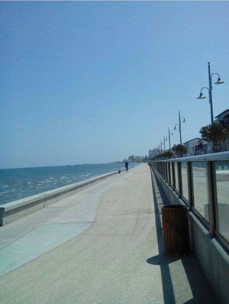 Фото Flamingo Beach Hotel