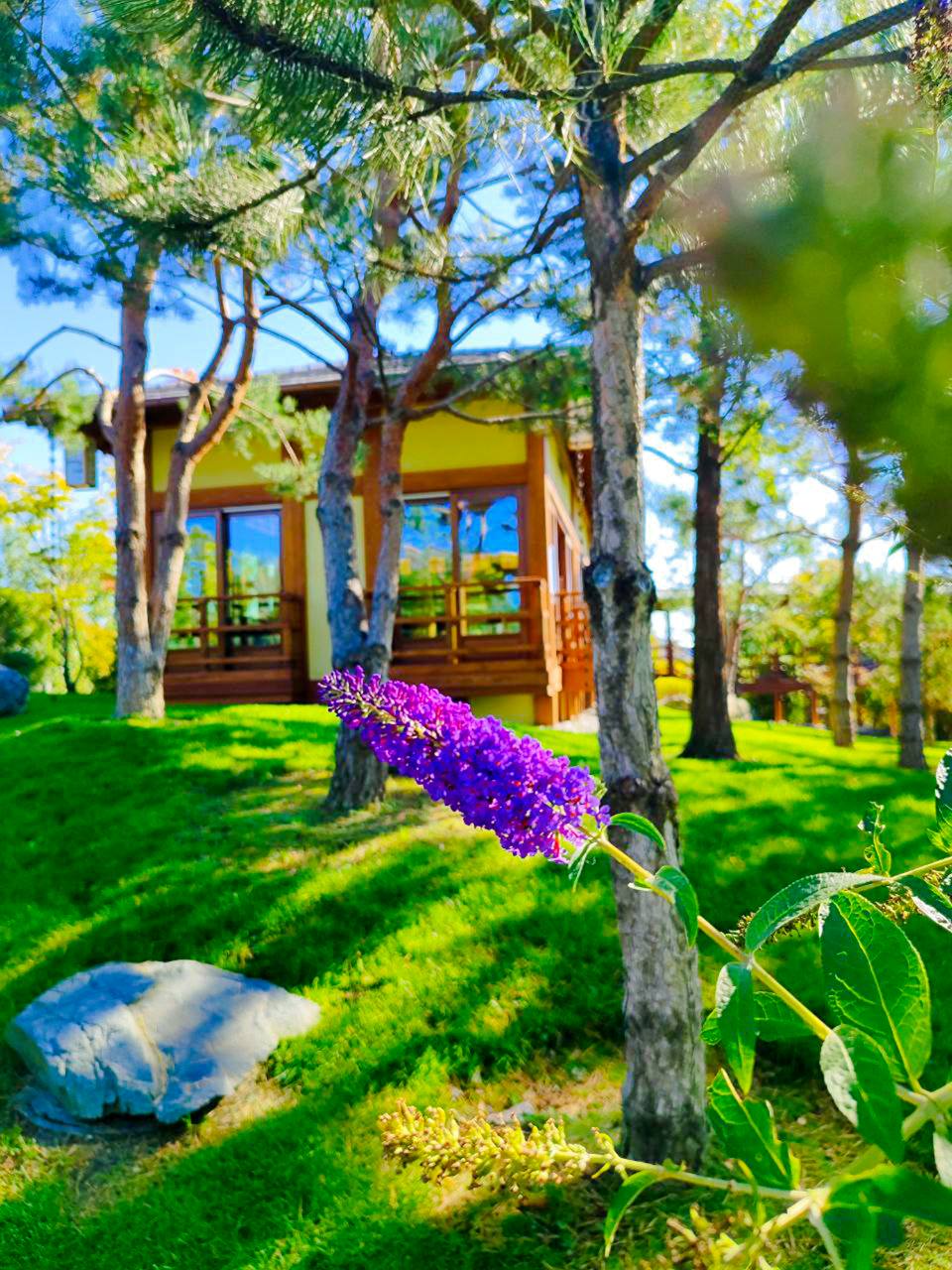 Фото Дом для отдыха