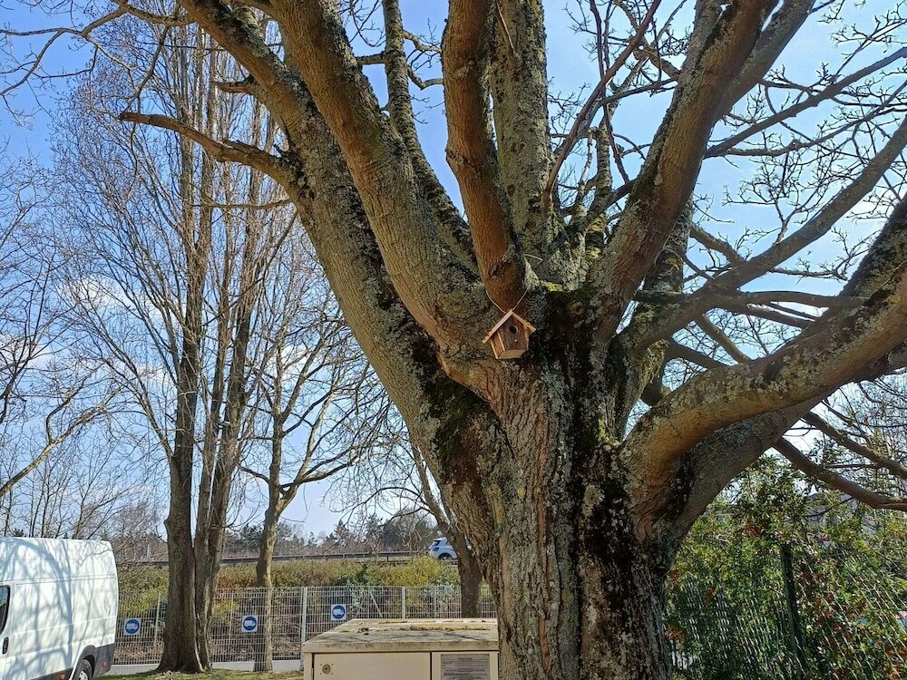 Фото 169056472620