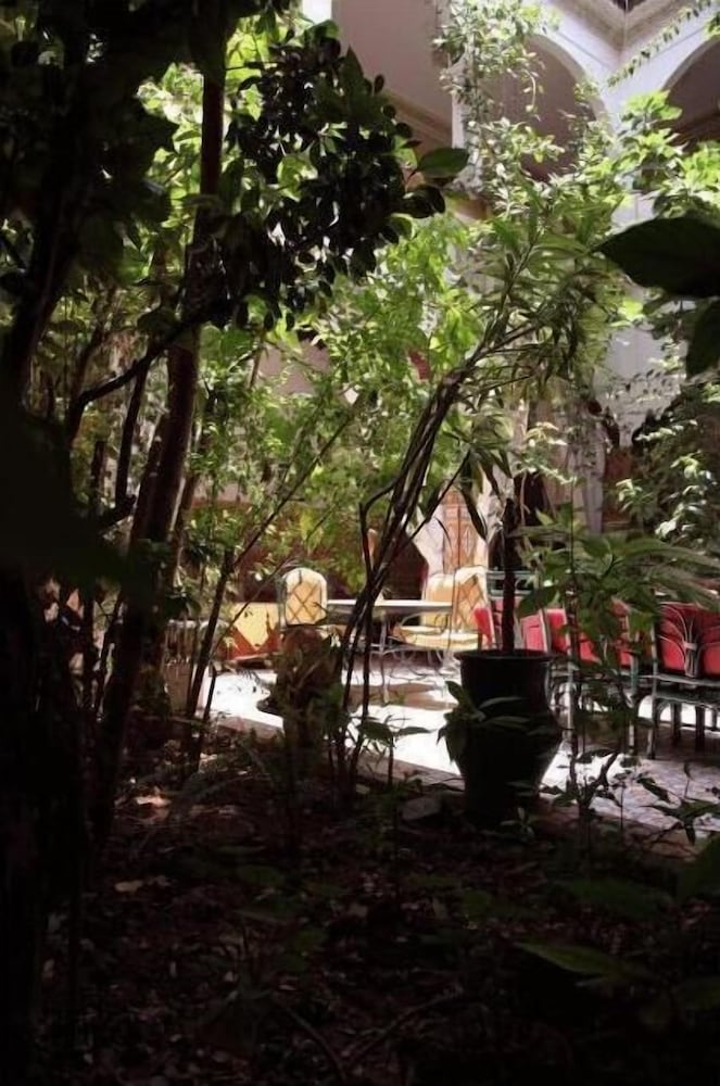 Фото Riad Maryam