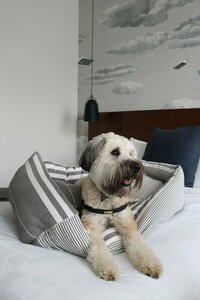Гостиница The Walper Hotel