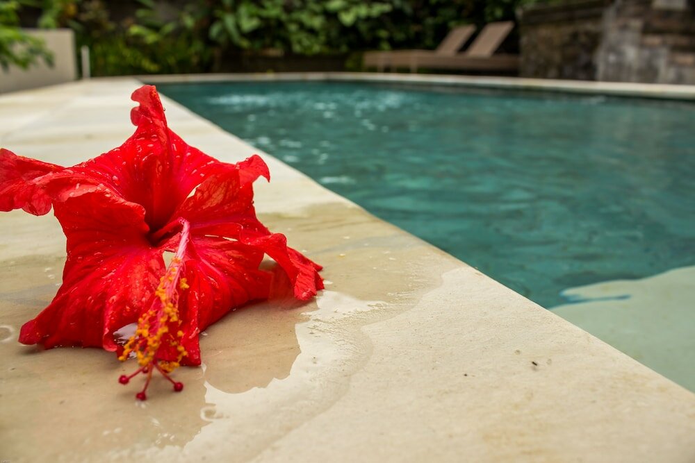 Фото Bisma Jaya Bungalow