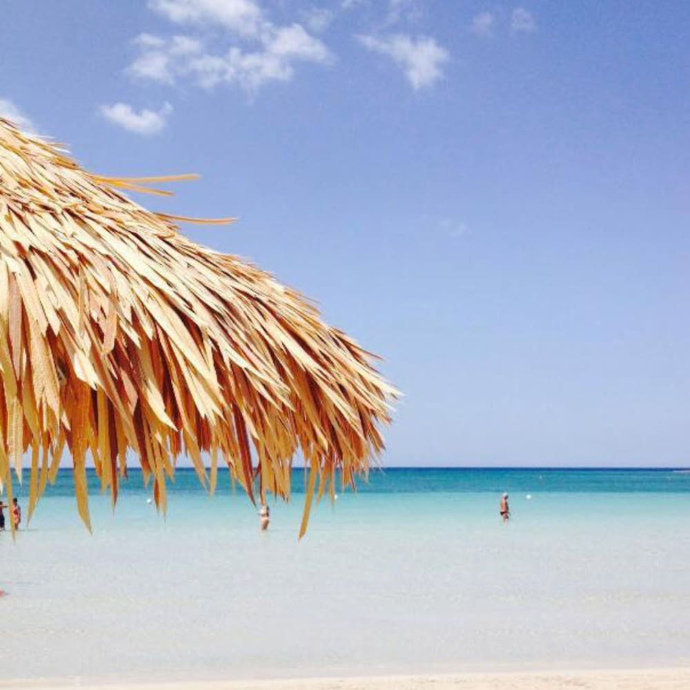 Фото Conchiglia Azzurra