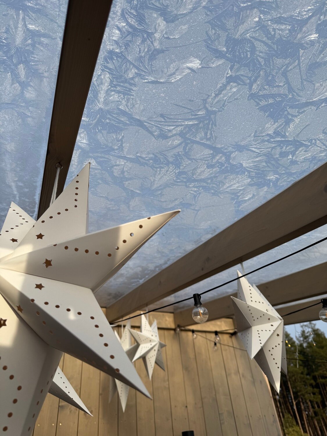 Фото Дача в соснах