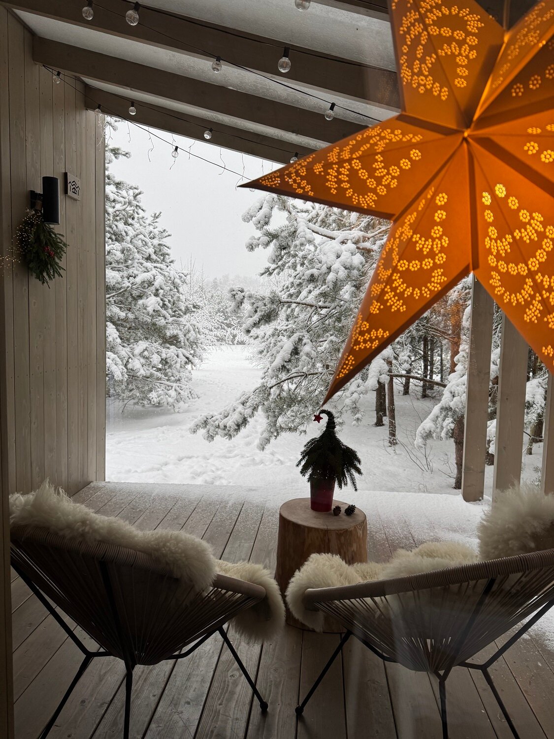 Фото Дача в соснах