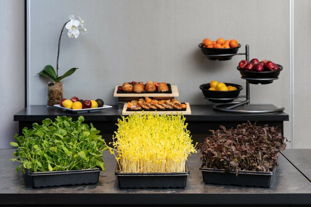 Фото Sheraton Vancouver Guildford Hotel