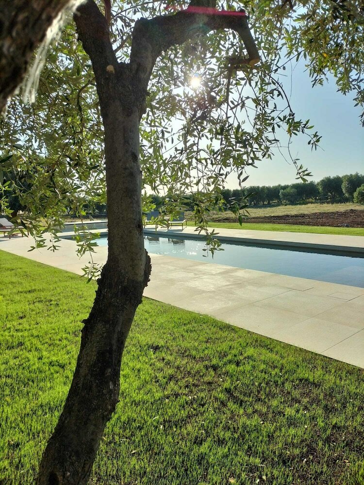 Фото Villa Narducci