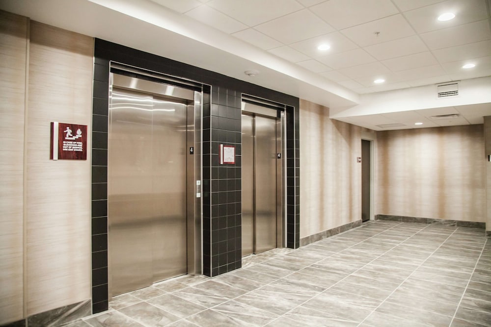 Фото Hilton Garden Inn Tampa Suncoast Parkway