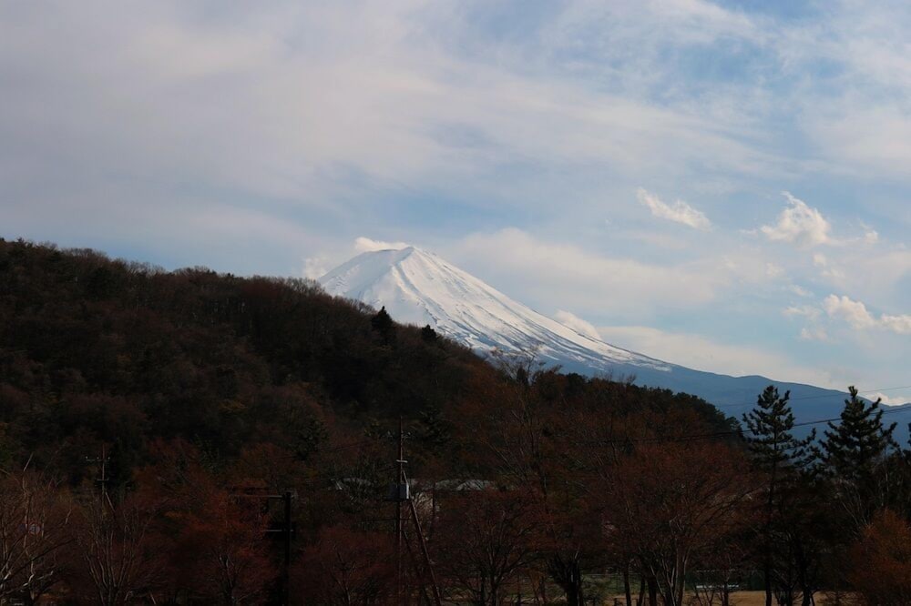 Фото Samurise North