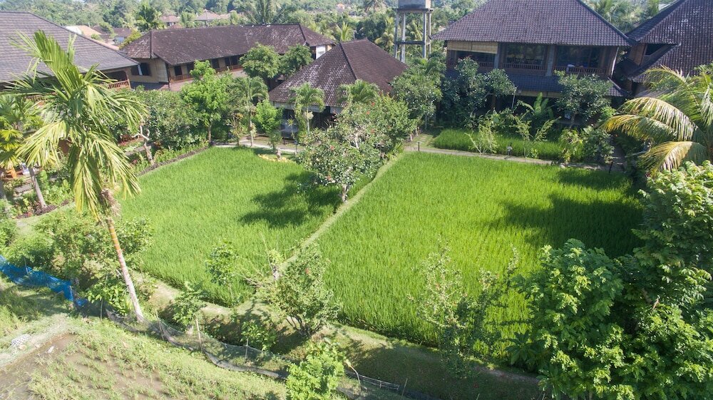 Фото Bliss SPA Ubud Hotel