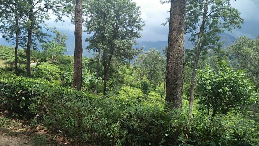 Фото Ella Camping Resort