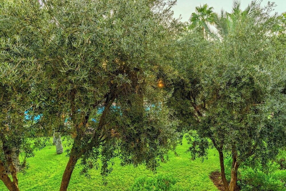 Фото Le Meridien N'fis