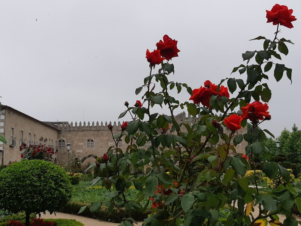 Фото Hotel do Parque