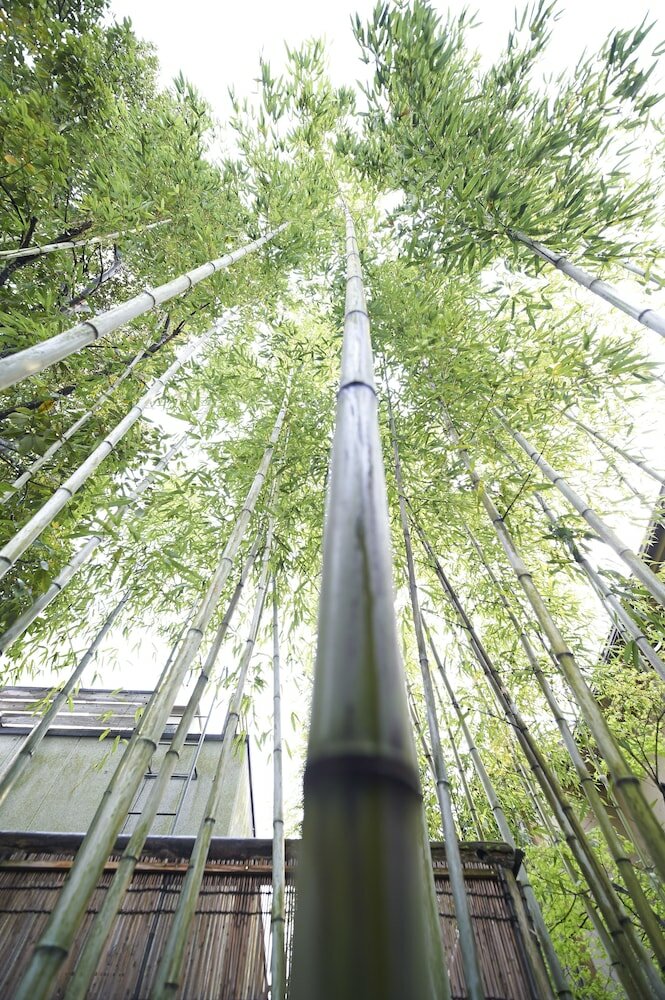 Фото Hotel Kazahaya