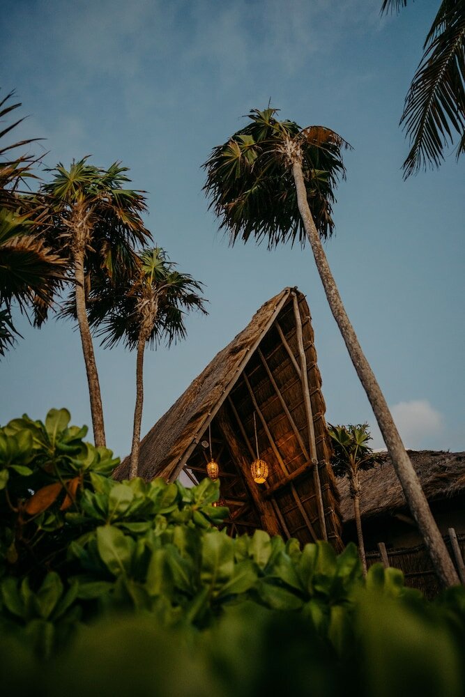 Фото Papaya Playa Project