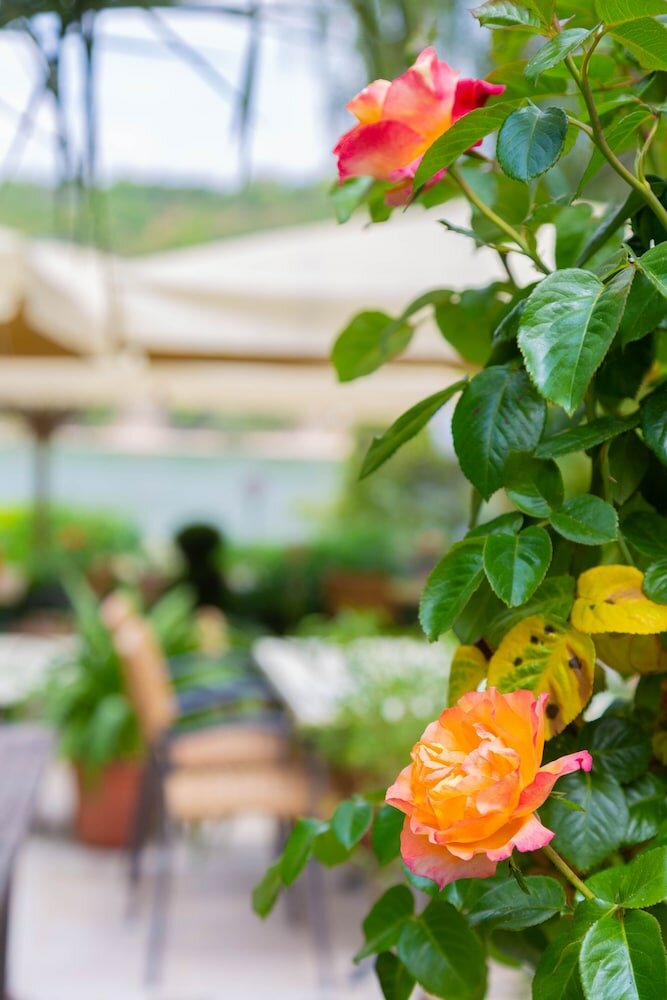 Фото Das Ebertor Hotel & Hostel