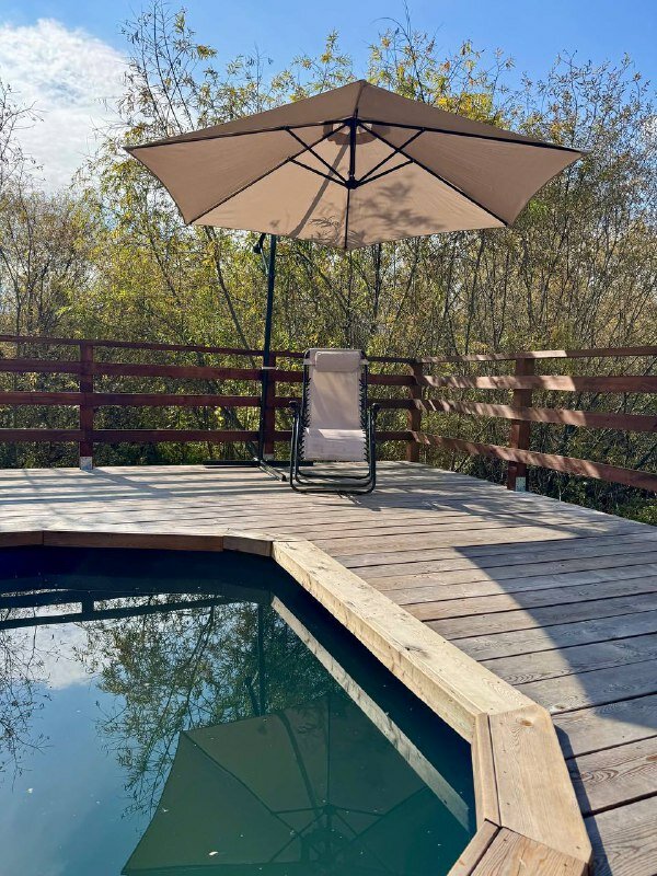 Фото Новые соседи